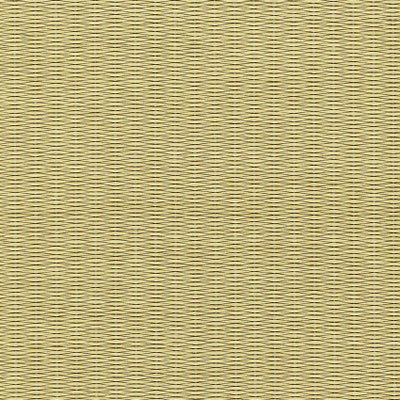 「気分草快」という樹脂製の畳ブランド。水に強い性質をもち、お手入れ簡単でコストも抑えられる人工イ草の畳です。