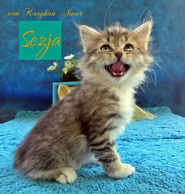 Sezja Sarita = kleine Prinzessin
