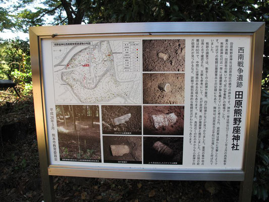 【熊野座神社】倒れた杉の木からは四方から撃ち込まれた小銃弾が見つかりました。