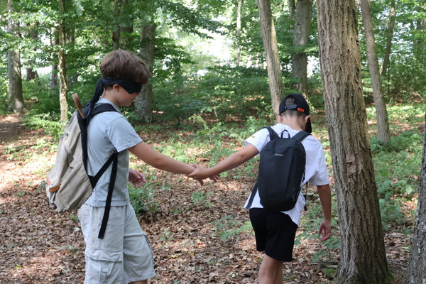 Ein Junge führt einen anderen durch den Wald