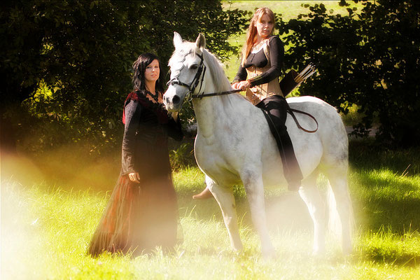foto-aldente.net Pferdefotografie - Pferdeshooting - Tierfotografie