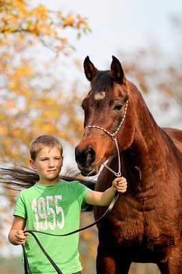 foto-aldente.net Pferdefotografie - Pferdeshooting - Tierfotografie