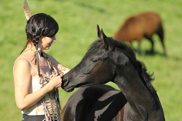 foto-aldente.net Pferdefotografie - Pferdeshooting - Tierfotografie