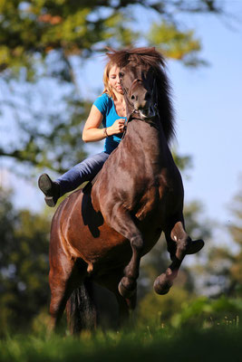 foto-aldente.net Pferdefotografie - Pferdeshooting - Tierfotografie