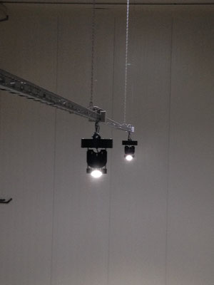LED iBAY Lebensmittel
