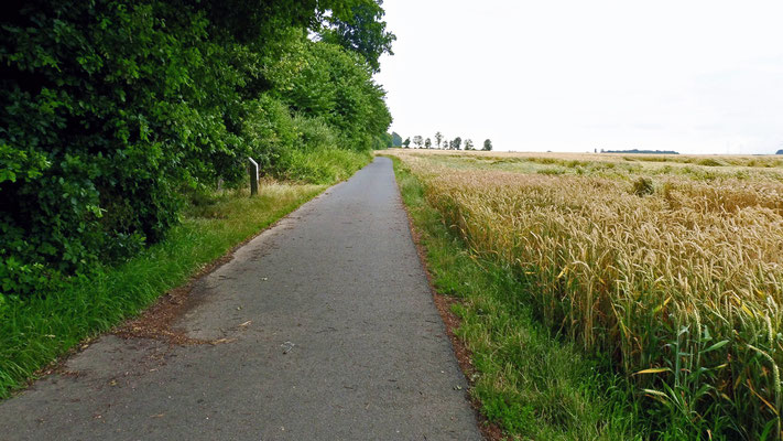 9 Vorbei an der Großen Loh