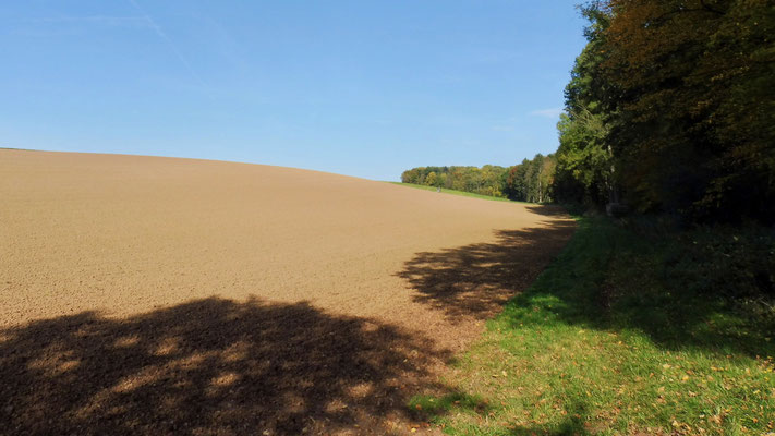 Vor uns Felder und tolle Ausblicke.