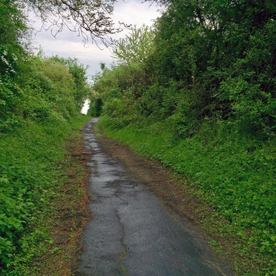 03/18 Steinstraße - Auf dem Weg zum Riedberg