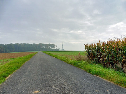 04 Am Horizont: Großer Loh