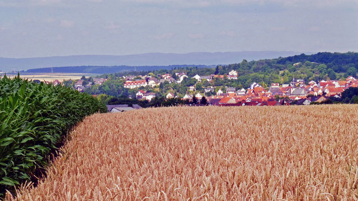 30 Blick ins Niddertal Richtung Taunus
