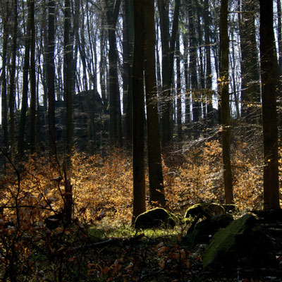 08/12 - Schönes Licht