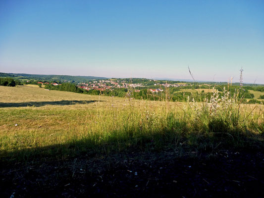 Blick auf Gedern.