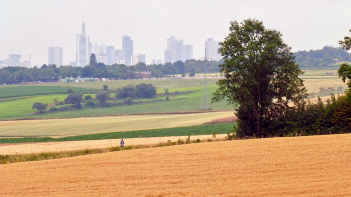 10 Blick auf die Frankfurter Skyline