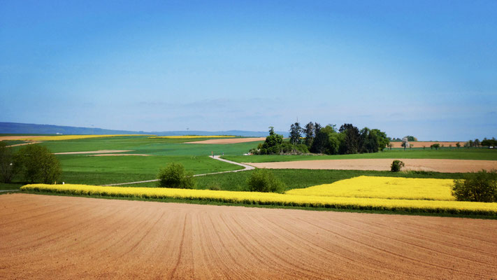 4/9 - Was für ein Ausblick!