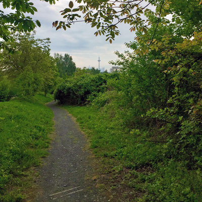 16/18 Goethe Universität Campus Riedberg, Weg zur Marie-Curie-Straße