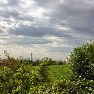10/18 Im Kreuzegut, Blick auf die Skyline 