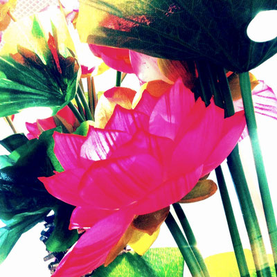 ROTE BLUME / FRANKFURT INNENSTADT