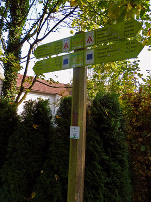Auf den Alemannenweg treffen wir bei unseren Wanderungen im Odenwald immer wieder.