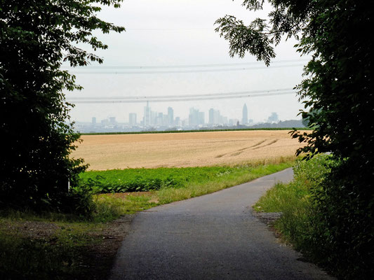 16 Kleine Loh: Blick zurück auf die Frankfurter Skyline