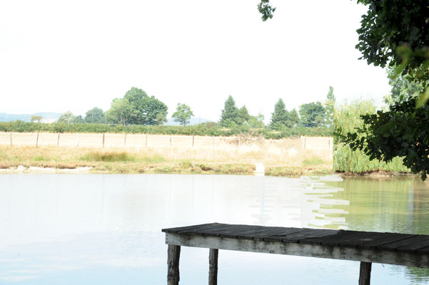 Gîte de pêche avec étang privé dans la Loire