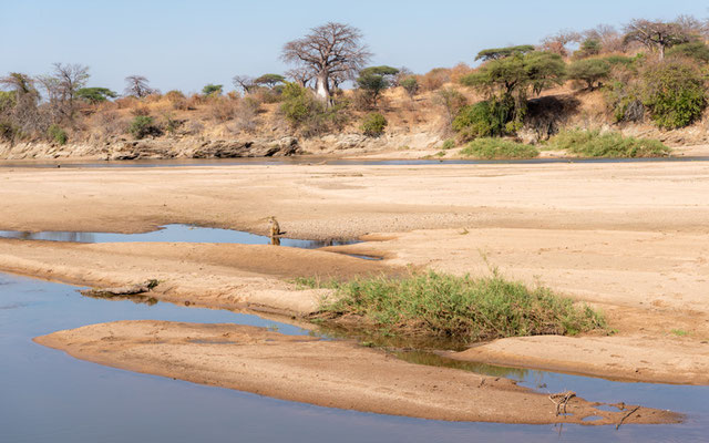 Paysage du Parc national de Ruaha