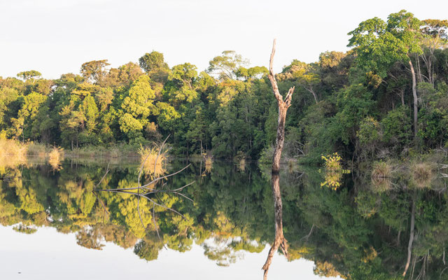 Rio Claro landscape