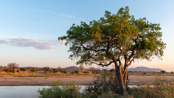 Paysage du Parc national de Ruaha