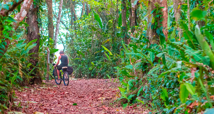 Cycliste sur le chemin reliant le village de Tortuguero et l'aéroport