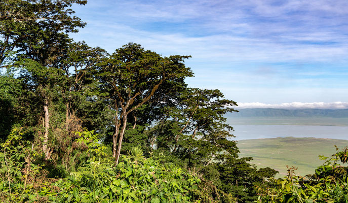 Vue sur le cratère de N'gorongoro