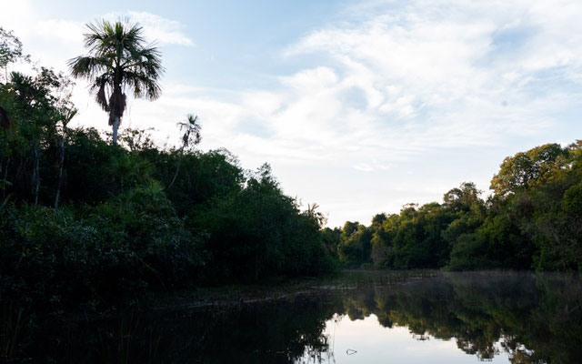 Rio Claro landscape