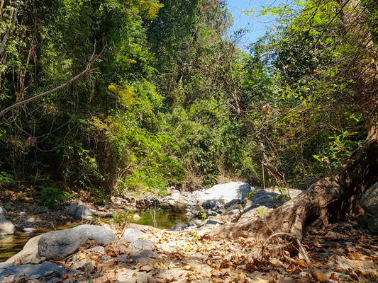 Paysage riverain dans le PN de Mahale