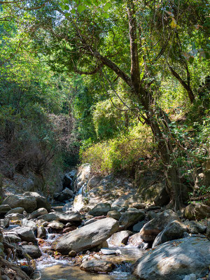 Paysage riverain dans le PN de Mahale