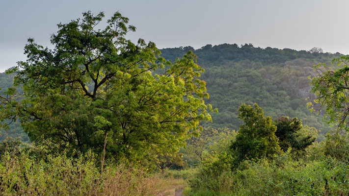 Paysage des Shai Hills 