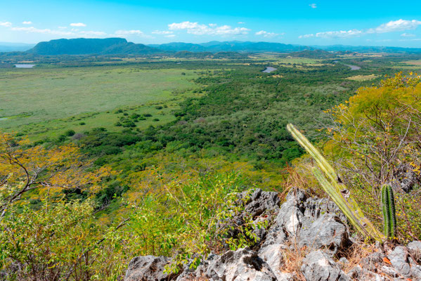 View of the Palo Verde marsh and the Tempisque river