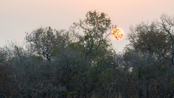 Lever de soleil sur le Parc national de Mole