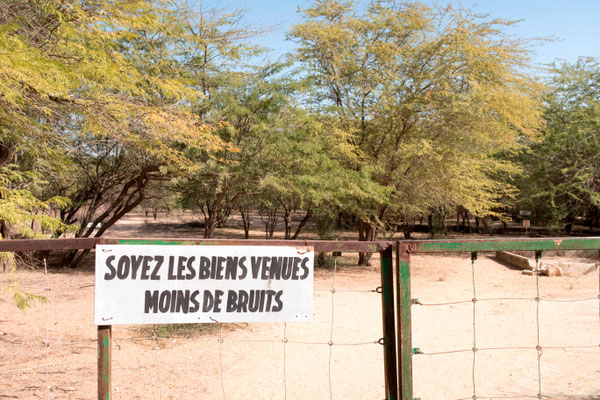 Entrée de la réserve naturelle de Guambeul où l'on coupe beaucoup de bois...