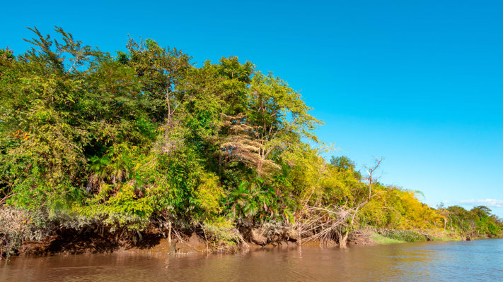 Vue depuis la rivière