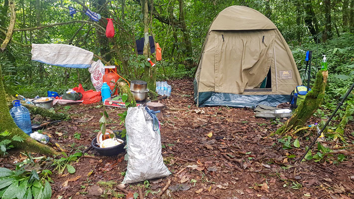 Camp de base au cœur de la forêt! Que du bonheur! Mais quelle expédition et logistique nécessaire.