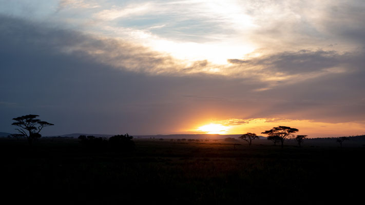 Typical landscape of the Serengeti savannah