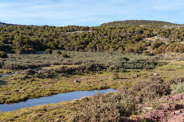 Paysage du Parc national de Bale