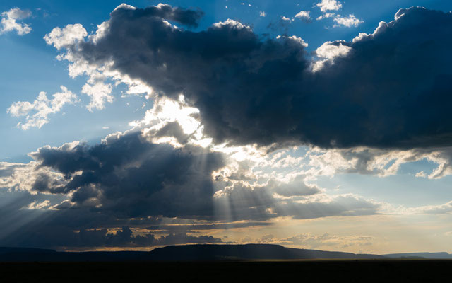 L'orage se rapproche doucement sur les plaines du Serengeti