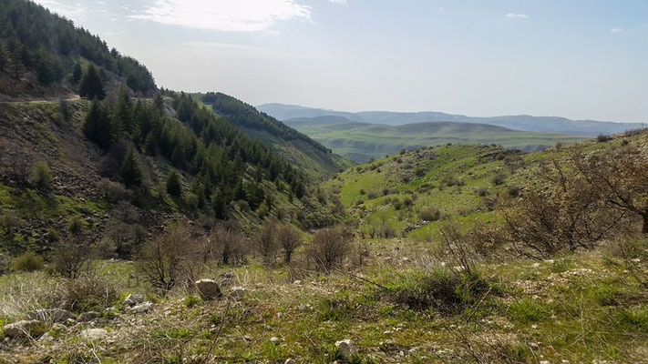 Milieux naturels au pied de la montagne.