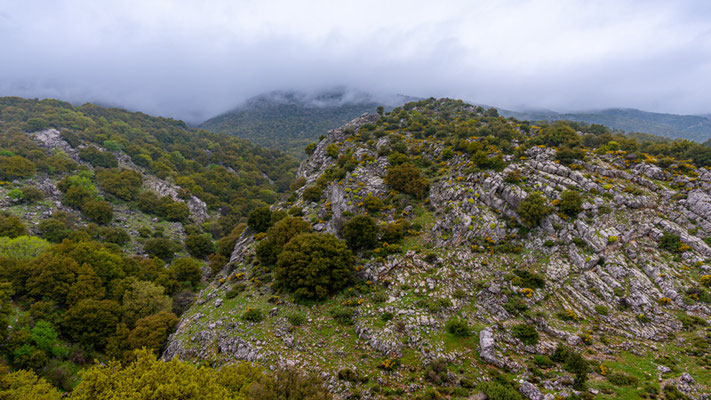 Scrubland around Aammiq