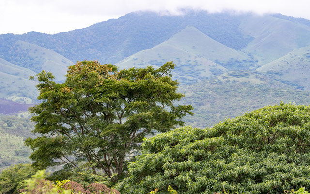 Vue sur le parc national des Uzungwa