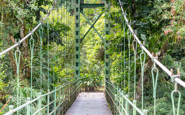 Le fameux pont suspendu reliant les bâtiments du centre à la forêt.