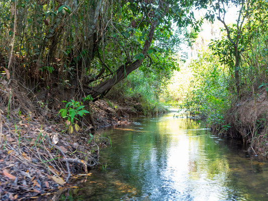 Rio Claro magical landscape