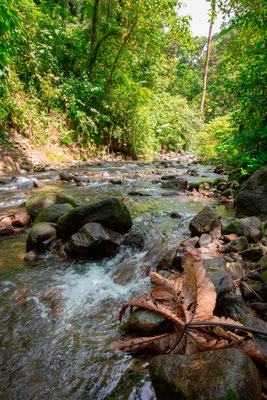 Agua caliente river