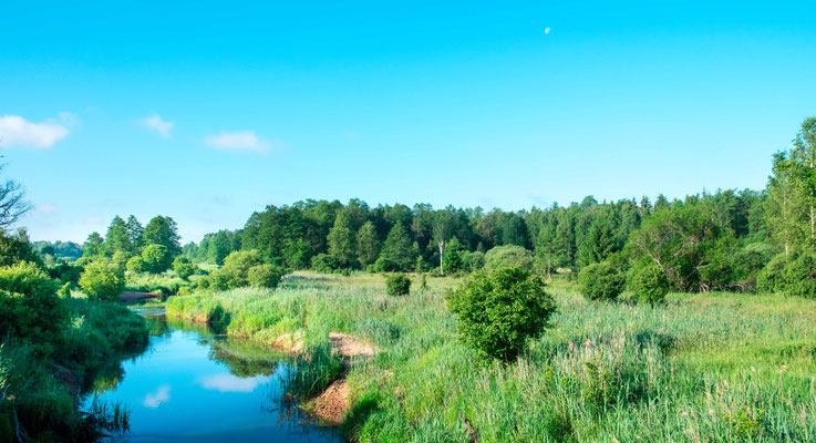 Paysage de campagne autour de Bialowieza