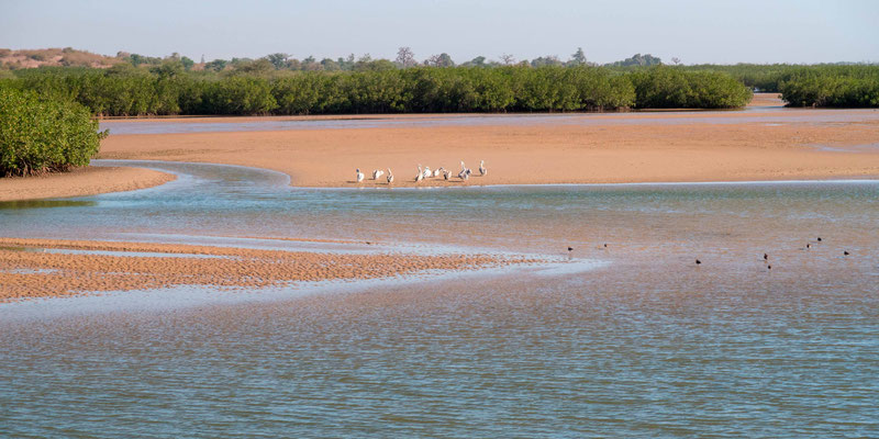 Lagune de la Somone