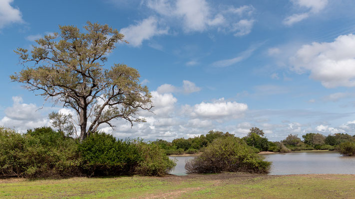 Paysages du Parc